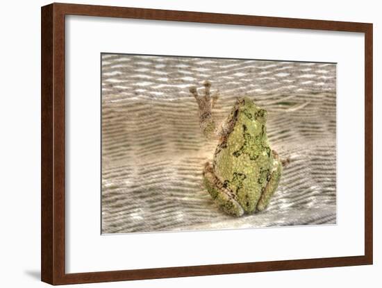 Tree Frog-Robert Goldwitz-Framed Photographic Print