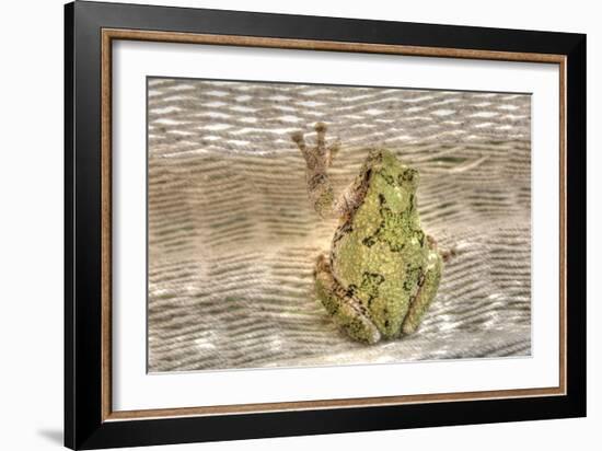 Tree Frog-Robert Goldwitz-Framed Photographic Print