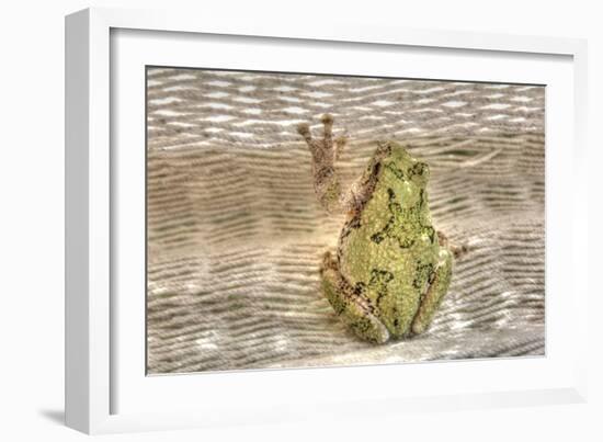 Tree Frog-Robert Goldwitz-Framed Photographic Print