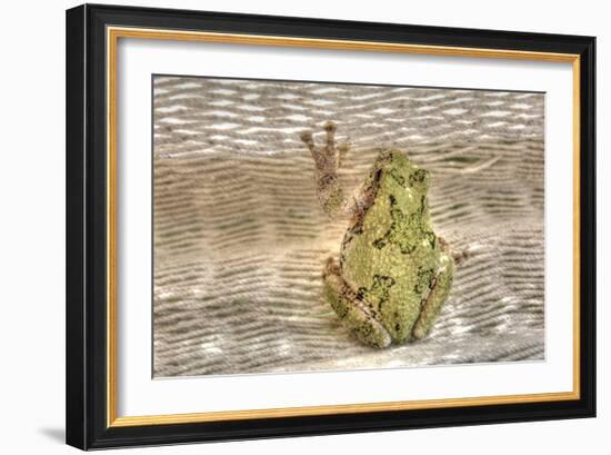 Tree Frog-Robert Goldwitz-Framed Photographic Print