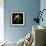 Tree Frog-null-Framed Giclee Print displayed on a wall