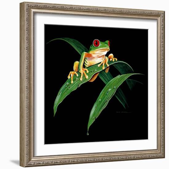 Tree Frog-null-Framed Giclee Print