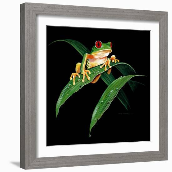 Tree Frog-null-Framed Giclee Print