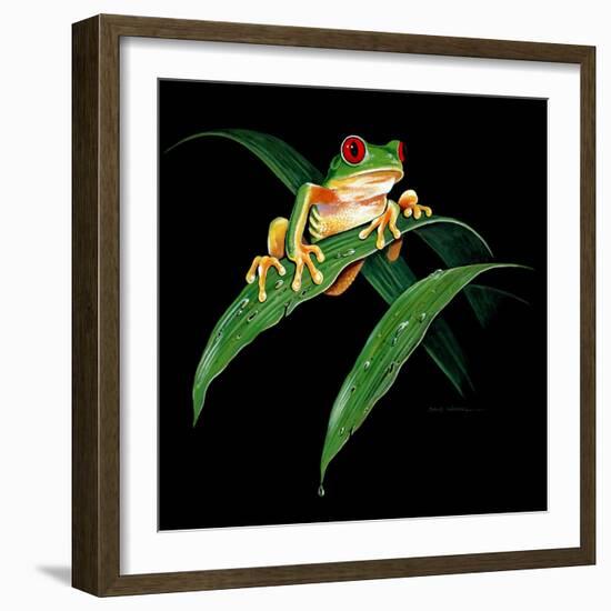 Tree Frog-null-Framed Giclee Print