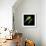 Tree Frog-null-Framed Giclee Print displayed on a wall