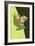 Tree Frog-Lantern Press-Framed Art Print