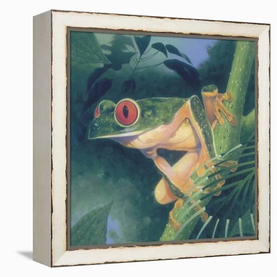 Tree Frog-Durwood Coffey-Framed Premier Image Canvas