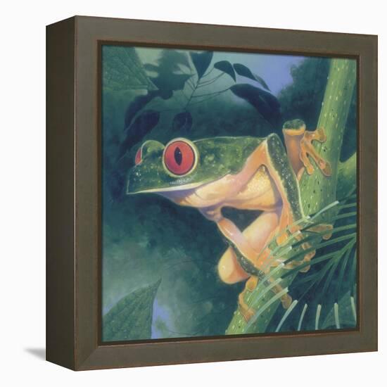 Tree Frog-Durwood Coffey-Framed Premier Image Canvas
