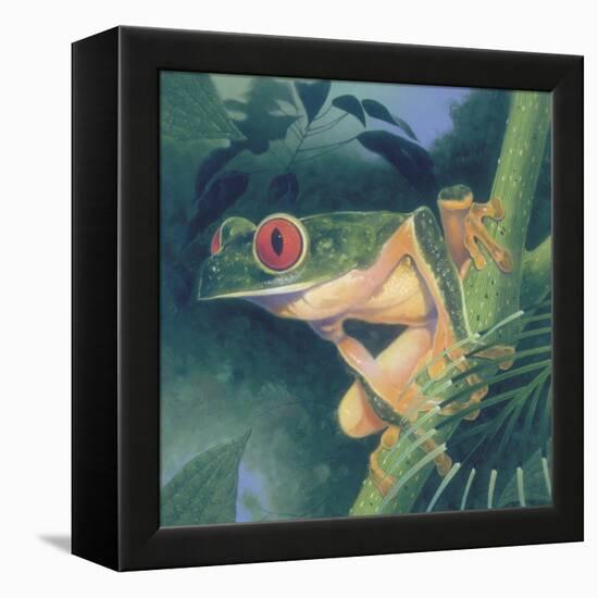 Tree Frog-Durwood Coffey-Framed Premier Image Canvas