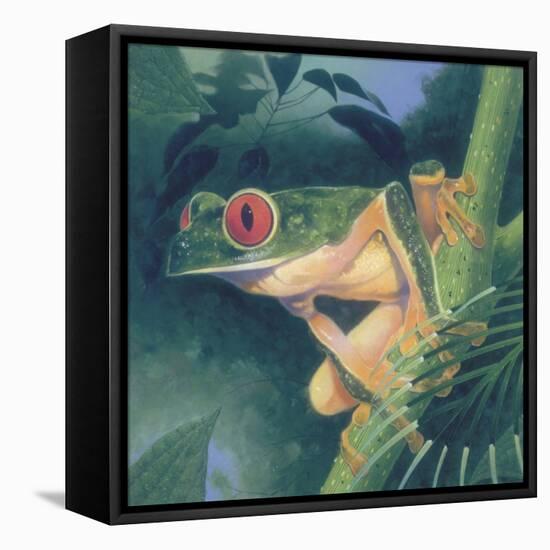 Tree Frog-Durwood Coffey-Framed Premier Image Canvas