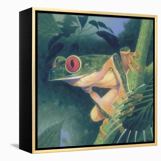 Tree Frog-Durwood Coffey-Framed Premier Image Canvas