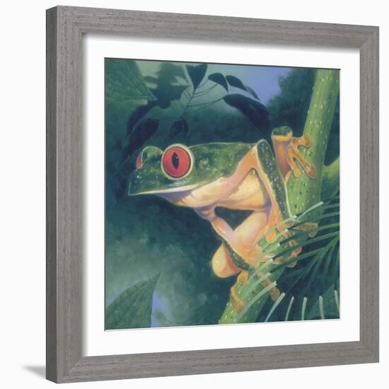 Tree Frog-Durwood Coffey-Framed Giclee Print