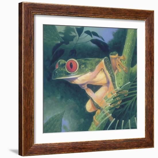 Tree Frog-Durwood Coffey-Framed Giclee Print