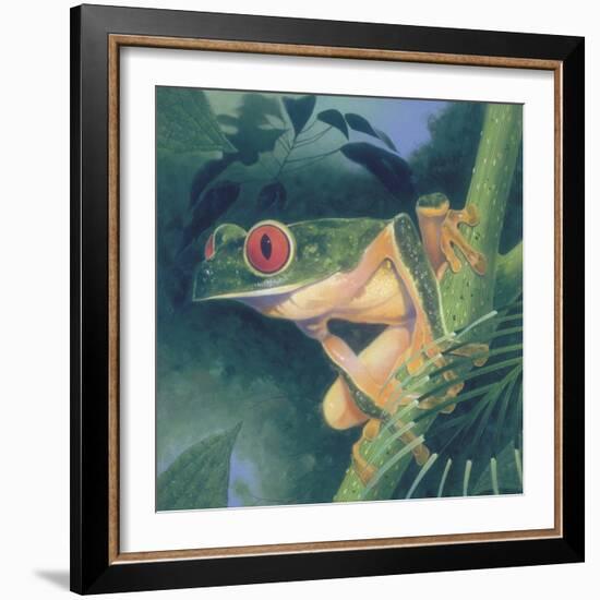 Tree Frog-Durwood Coffey-Framed Giclee Print