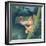 Tree Frog-Durwood Coffey-Framed Giclee Print