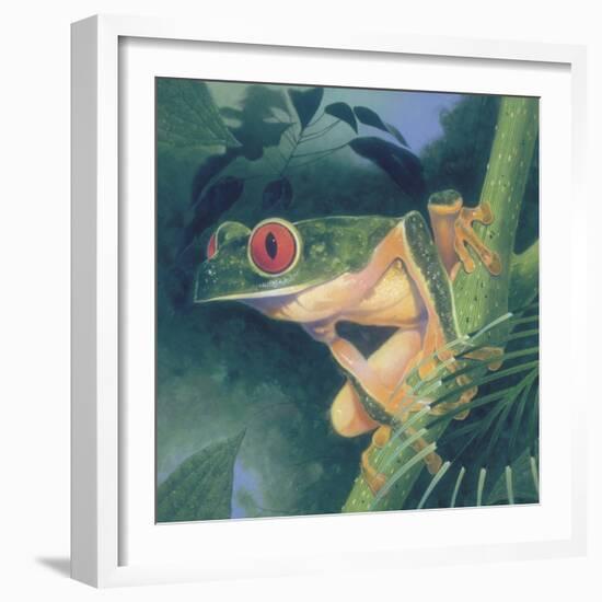 Tree Frog-Durwood Coffey-Framed Giclee Print