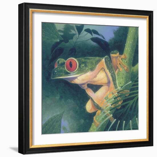 Tree Frog-Durwood Coffey-Framed Giclee Print