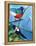 Tree Full of Birds, 2012-Nancy Moniz-Framed Premier Image Canvas