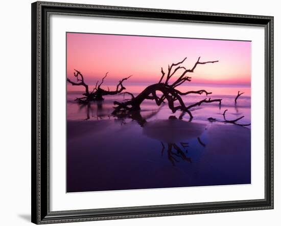 Tree Graveyard on Beach at Dusk, Jekyll Island, Georgia, USA-Joanne Wells-Framed Photographic Print