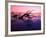 Tree Graveyard on Beach at Dusk, Jekyll Island, Georgia, USA-Joanne Wells-Framed Photographic Print