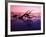 Tree Graveyard on Beach at Dusk, Jekyll Island, Georgia, USA-Joanne Wells-Framed Photographic Print