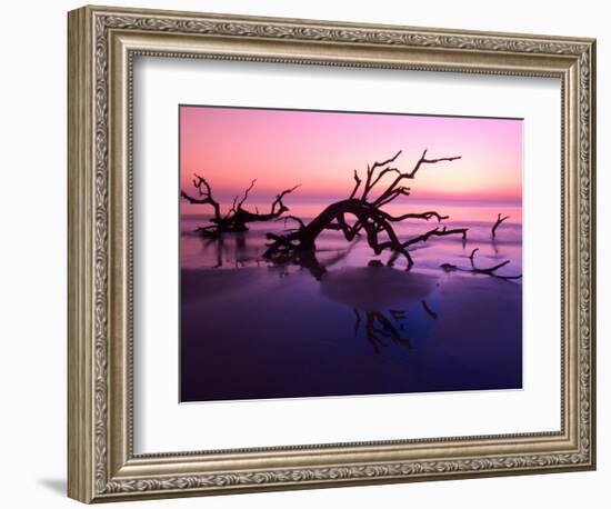 Tree Graveyard on Beach at Dusk, Jekyll Island, Georgia, USA-Joanne Wells-Framed Photographic Print