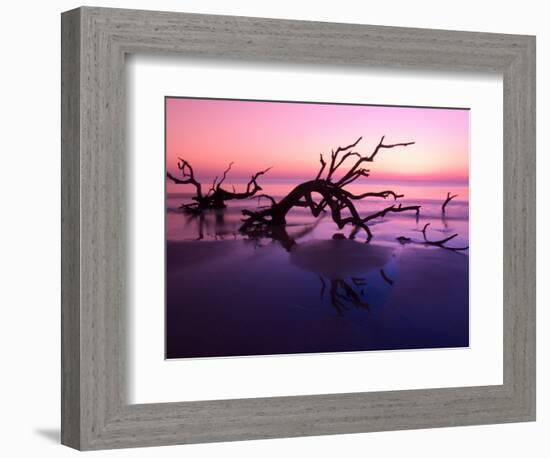 Tree Graveyard on Beach at Dusk, Jekyll Island, Georgia, USA-Joanne Wells-Framed Photographic Print