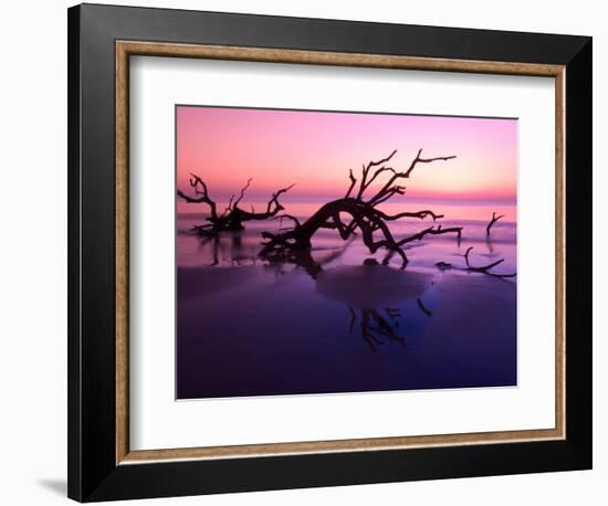 Tree Graveyard on Beach at Dusk, Jekyll Island, Georgia, USA-Joanne Wells-Framed Photographic Print