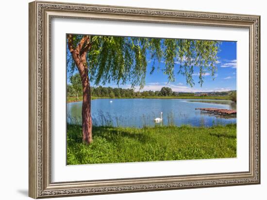 Tree, Green Grass and Small Lake on Background in Piedmont, Northern Italy.-rglinsky-Framed Photographic Print