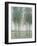 Tree Grove I-Tim OToole-Framed Art Print