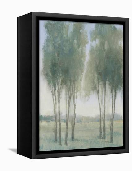 Tree Grove I-Tim OToole-Framed Stretched Canvas