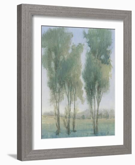 Tree Grove II-Tim OToole-Framed Art Print