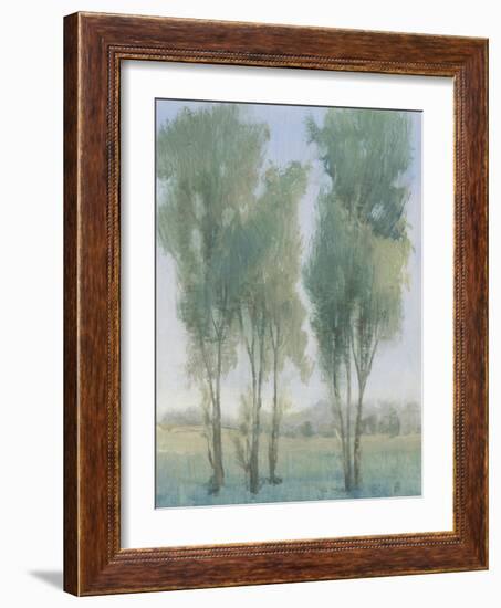 Tree Grove II-Tim OToole-Framed Art Print