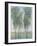 Tree Grove II-Tim OToole-Framed Art Print