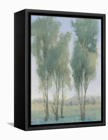 Tree Grove II-Tim OToole-Framed Stretched Canvas