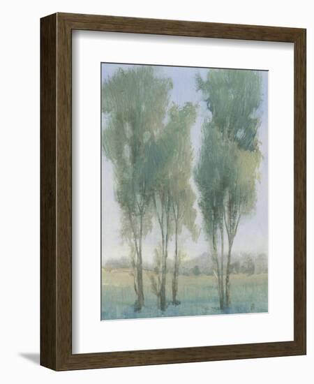 Tree Grove II-Tim OToole-Framed Art Print