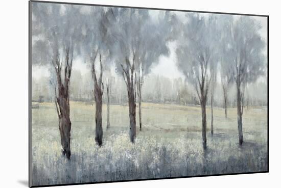 Tree Grove II-Tim O'toole-Mounted Giclee Print