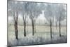 Tree Grove II-Tim O'toole-Mounted Giclee Print