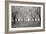 Tree Grove Pano BW I-Erin Berzel-Framed Photographic Print