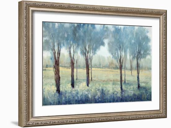 Tree Grove-Tim O'toole-Framed Giclee Print