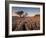 Tree Growing Through the Limestone at Sunset, Ingleton, Yorkshire Dales National Park, England-Neale Clark-Framed Photographic Print