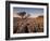 Tree Growing Through the Limestone at Sunset, Ingleton, Yorkshire Dales National Park, England-Neale Clark-Framed Photographic Print