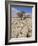 Tree Growing Through the Limestone, Yorkshire Dales National Park, Yorkshire, England-Neale Clark-Framed Photographic Print