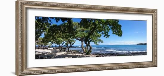Tree Heliotrope on Beach, Kukio Bay, Kailua Kona, Hawaii, USA-null-Framed Photographic Print
