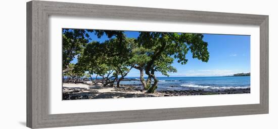 Tree Heliotrope on Beach, Kukio Bay, Kailua Kona, Hawaii, USA-null-Framed Photographic Print