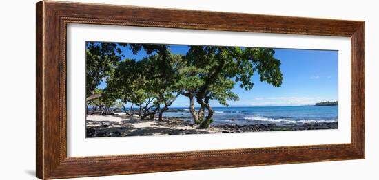 Tree Heliotrope on Beach, Kukio Bay, Kailua Kona, Hawaii, USA-null-Framed Photographic Print