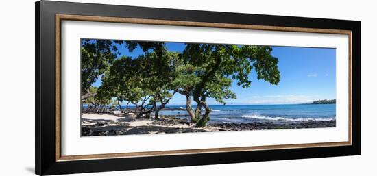 Tree Heliotrope on Beach, Kukio Bay, Kailua Kona, Hawaii, USA-null-Framed Photographic Print
