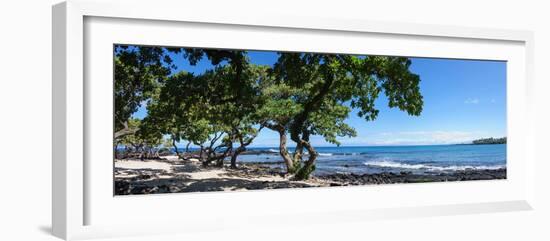 Tree Heliotrope on Beach, Kukio Bay, Kailua Kona, Hawaii, USA-null-Framed Photographic Print