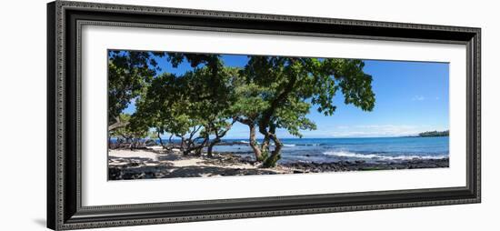 Tree Heliotrope on Beach, Kukio Bay, Kailua Kona, Hawaii, USA-null-Framed Photographic Print