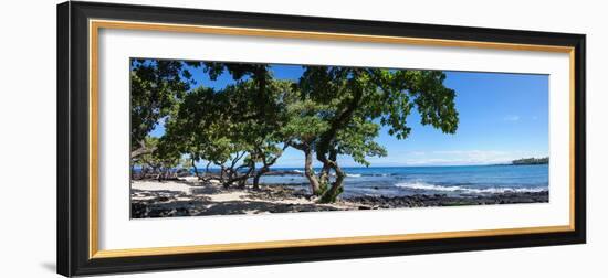 Tree Heliotrope on Beach, Kukio Bay, Kailua Kona, Hawaii, USA-null-Framed Photographic Print